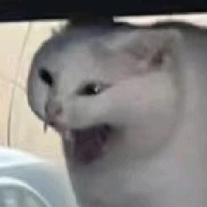 人壬几