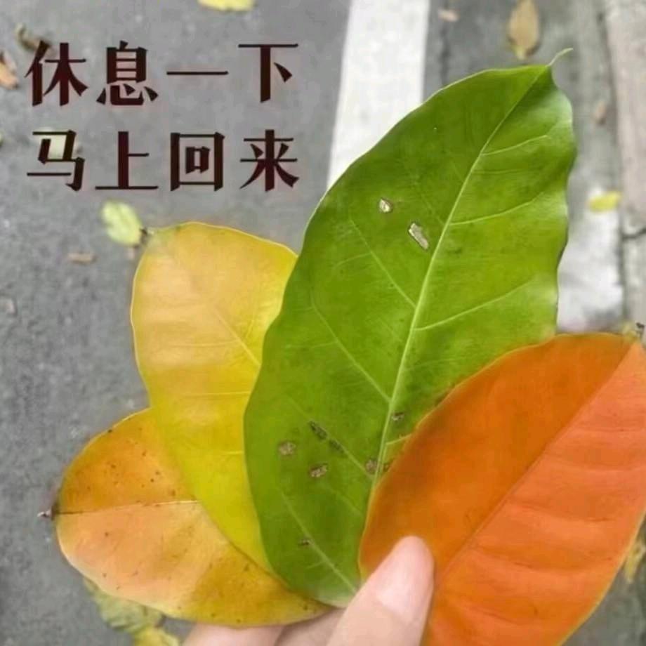 静悄悄