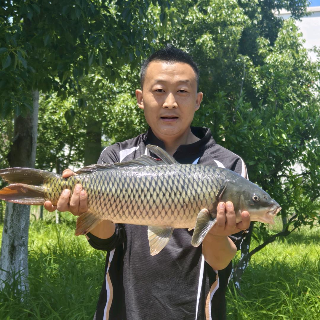 @谷麦逗钓-宝哥