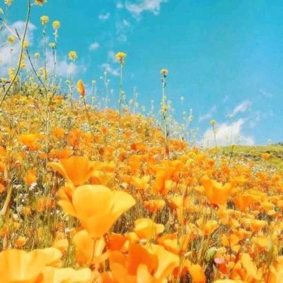 🥤🍬没空上班🧬🚥