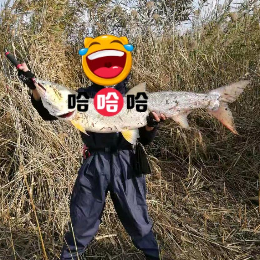 夕风路亚