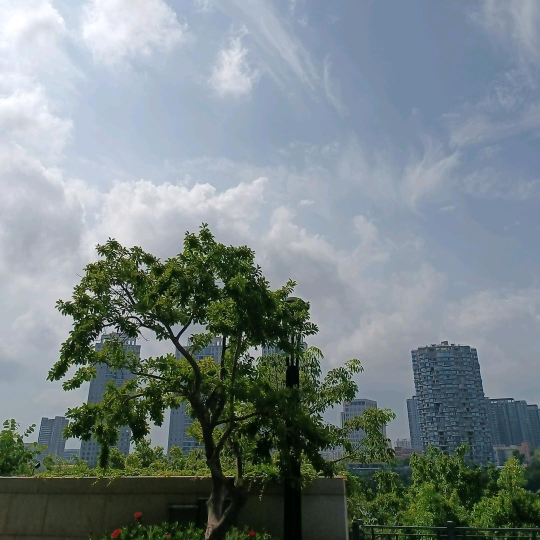 吴会