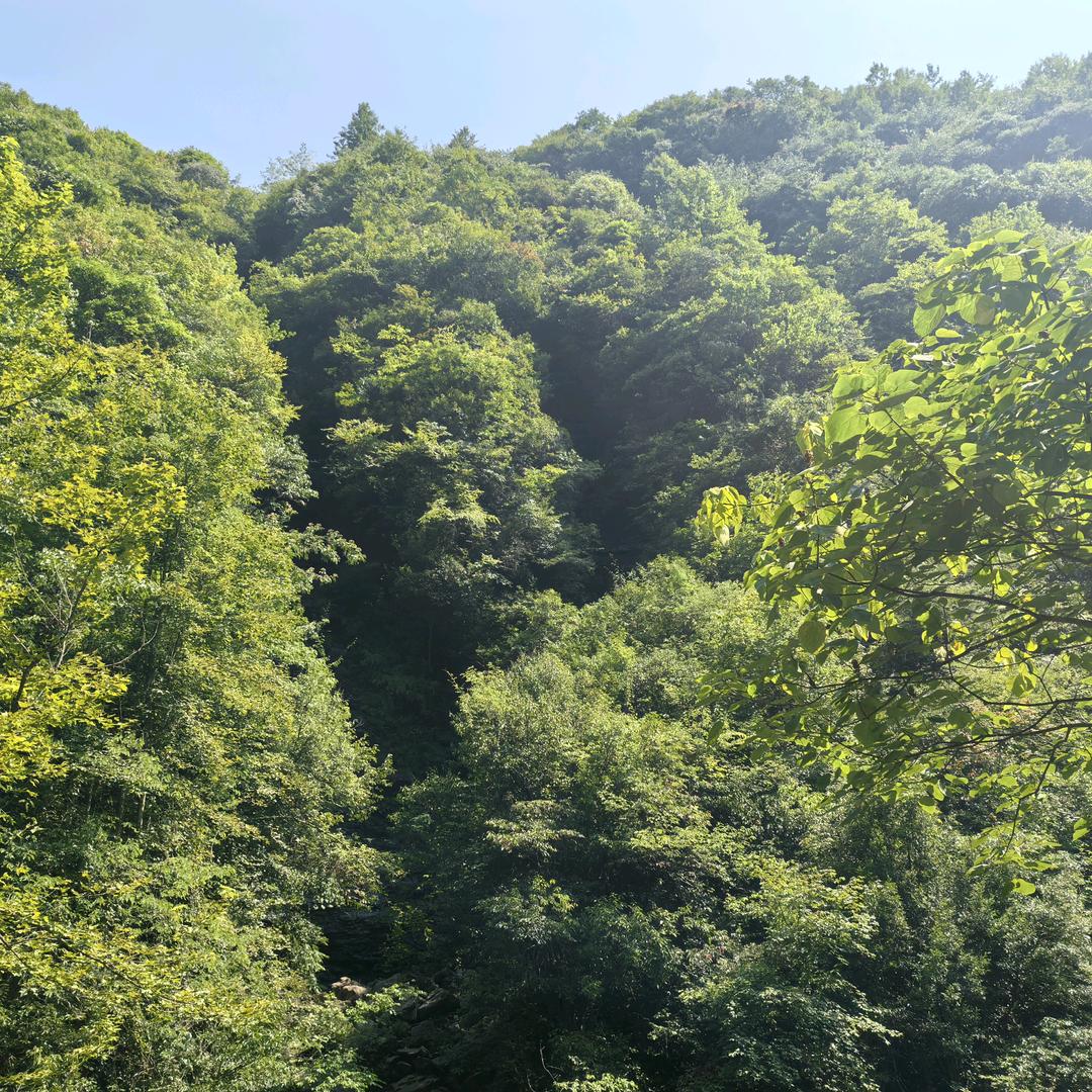 风景