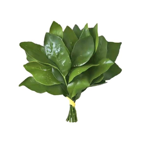 我也不想上早八