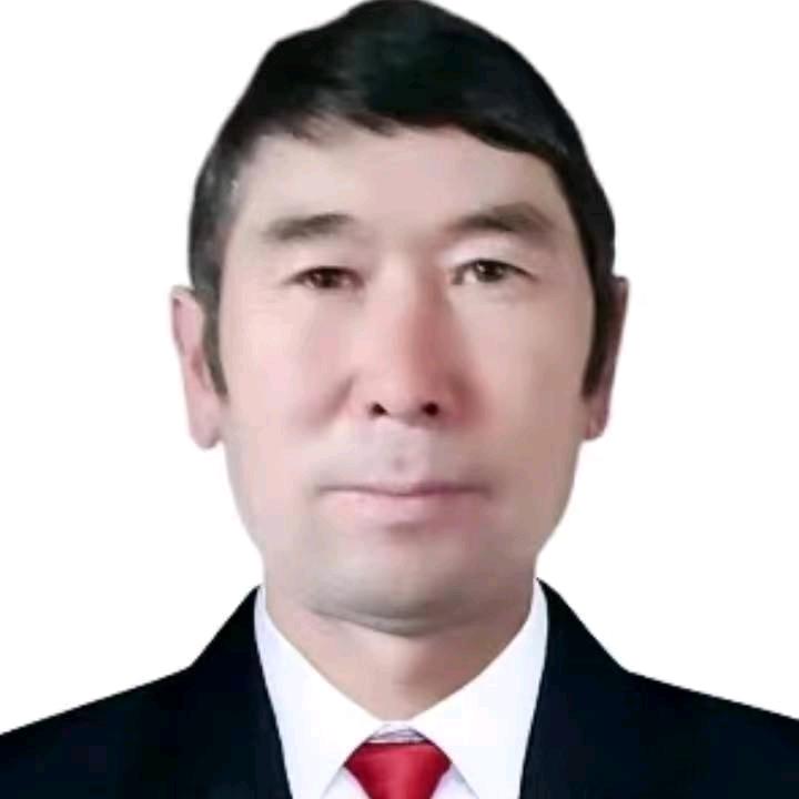吐逊那力