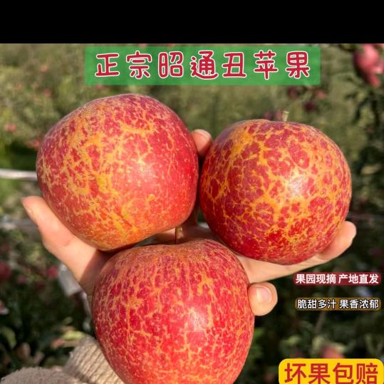 苹果基地助农