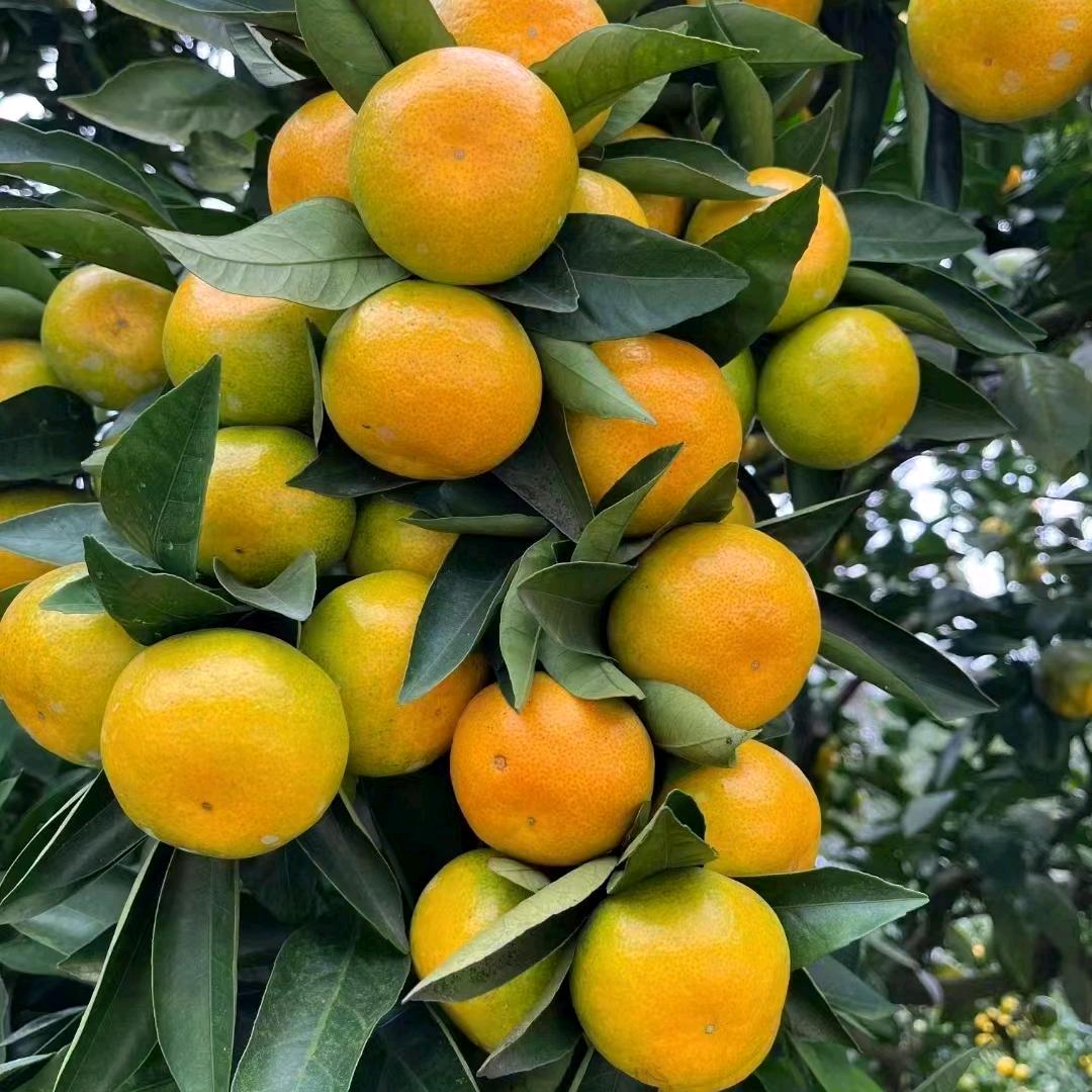 感恩遇见，从心开始