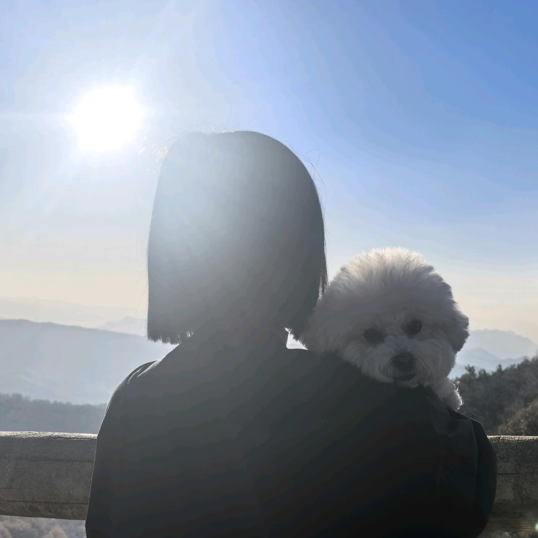 减肥的李小姐（2025版）