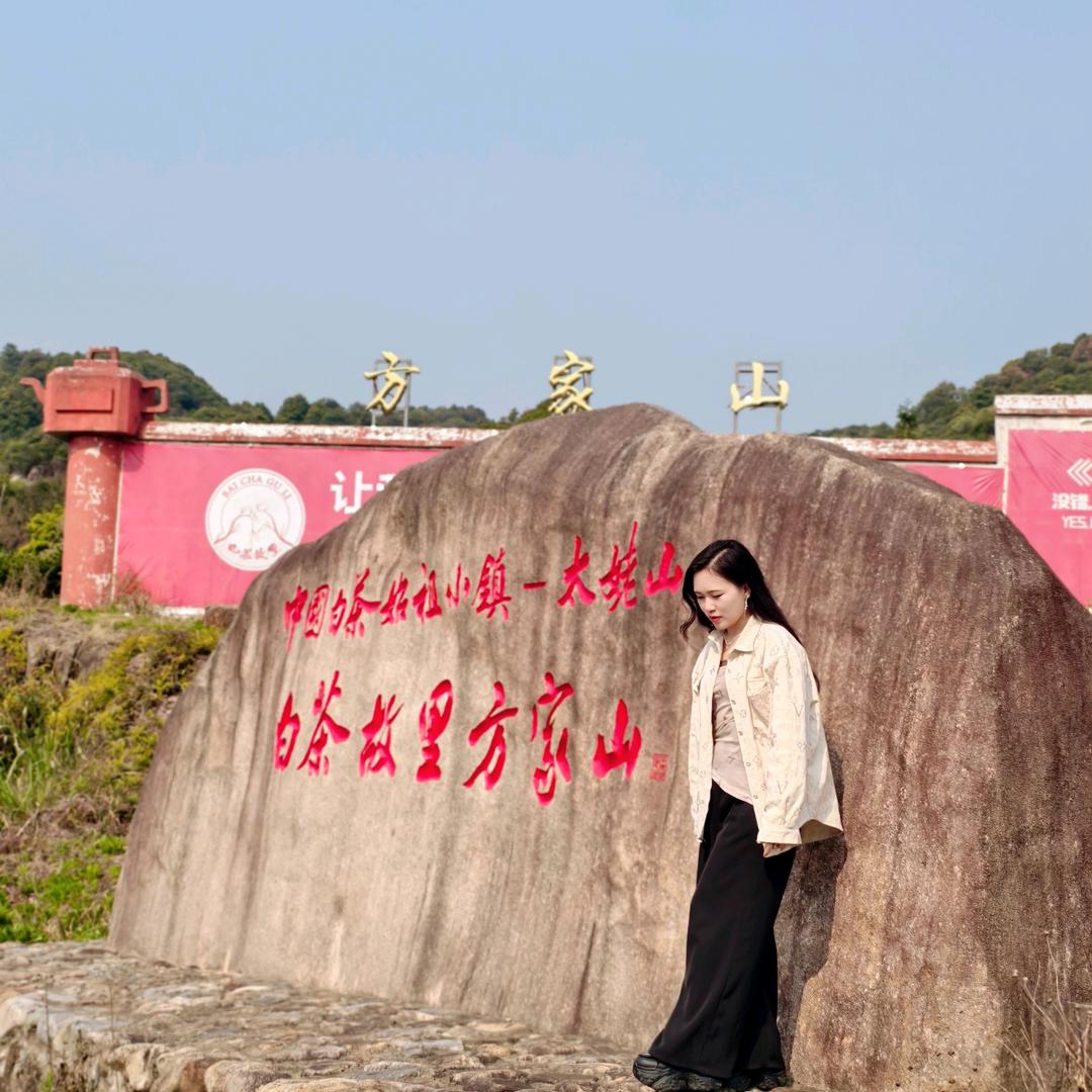 株株香茶叶