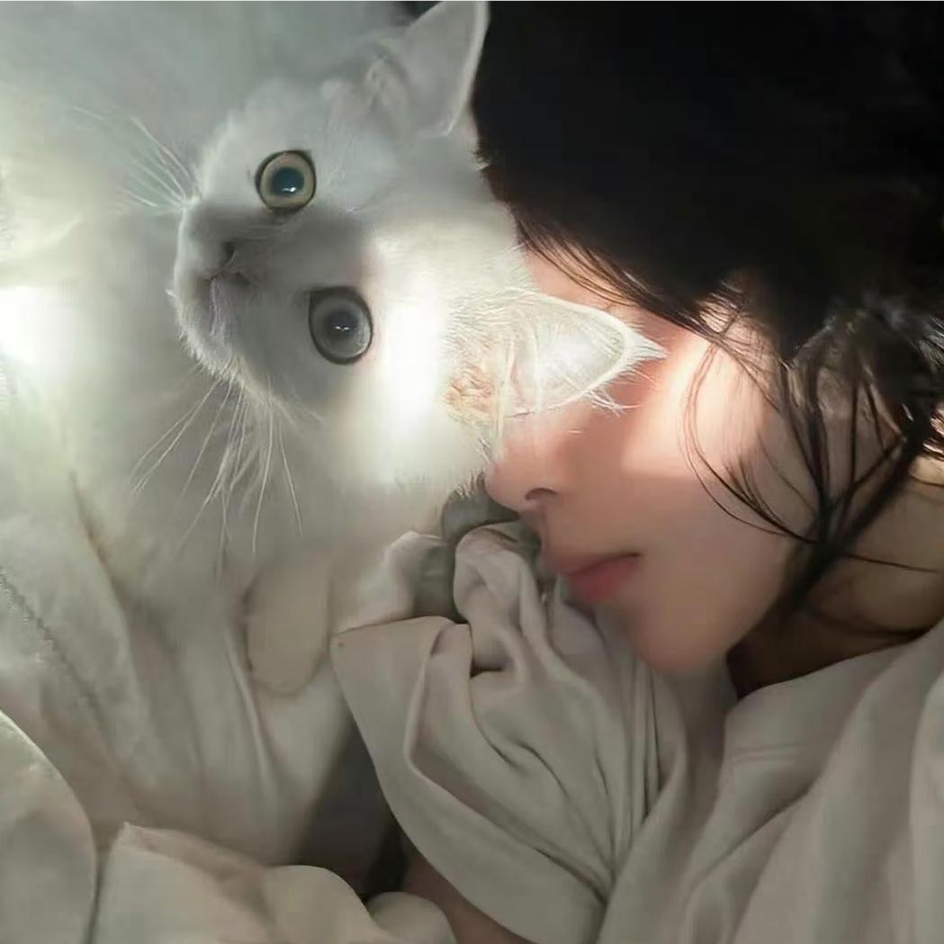 𝙊.𝗼𝙆𝙞𝘁𝘁𝘆