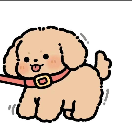 小小高