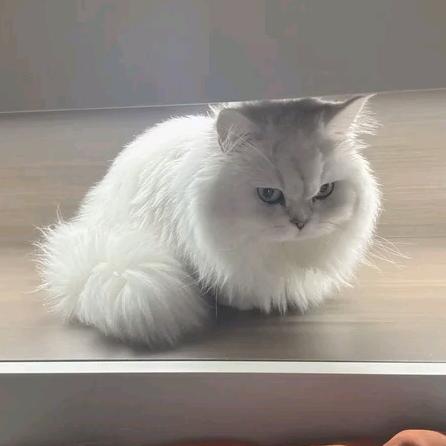 好吃爱吃麻辣兔头