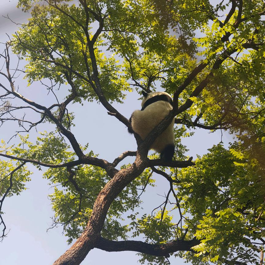 প꯭᨞兜兜🌾有米ོ࿐