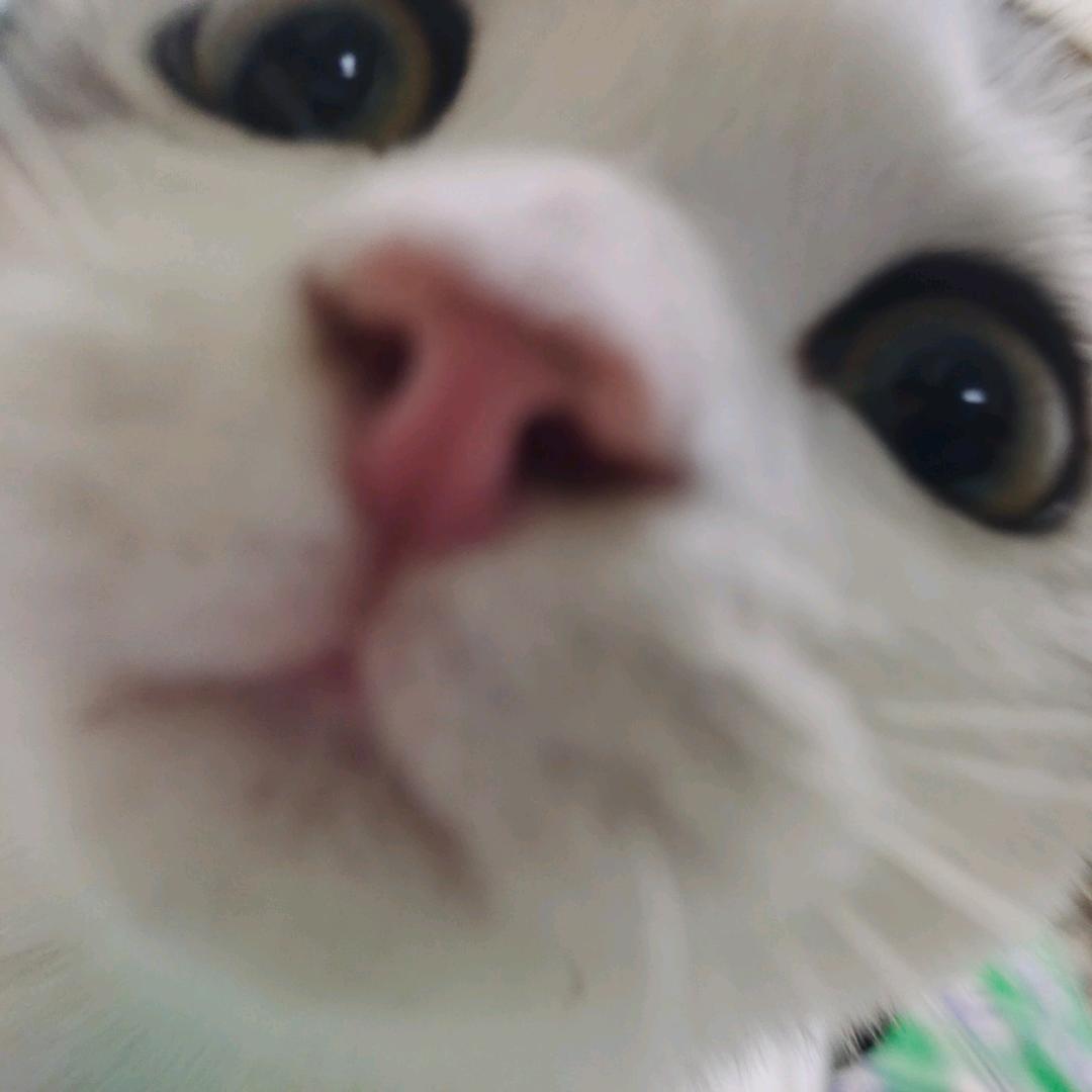 联发科