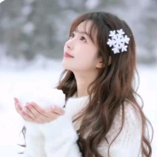 ✨ঞℳ୧⍤⃝琴宝ঞℳ✨