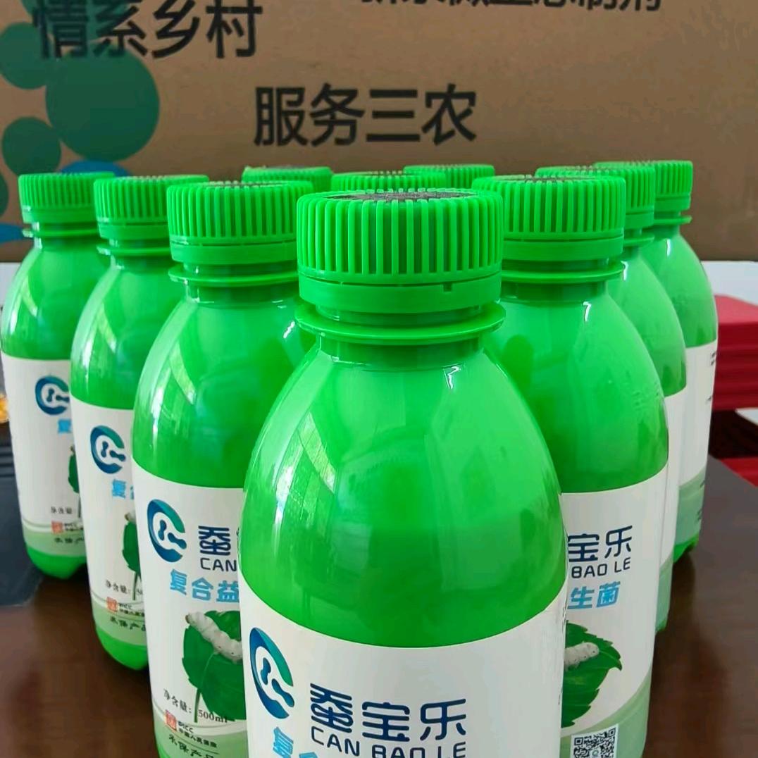 蚕宝乐大队长团队🔥笑笑