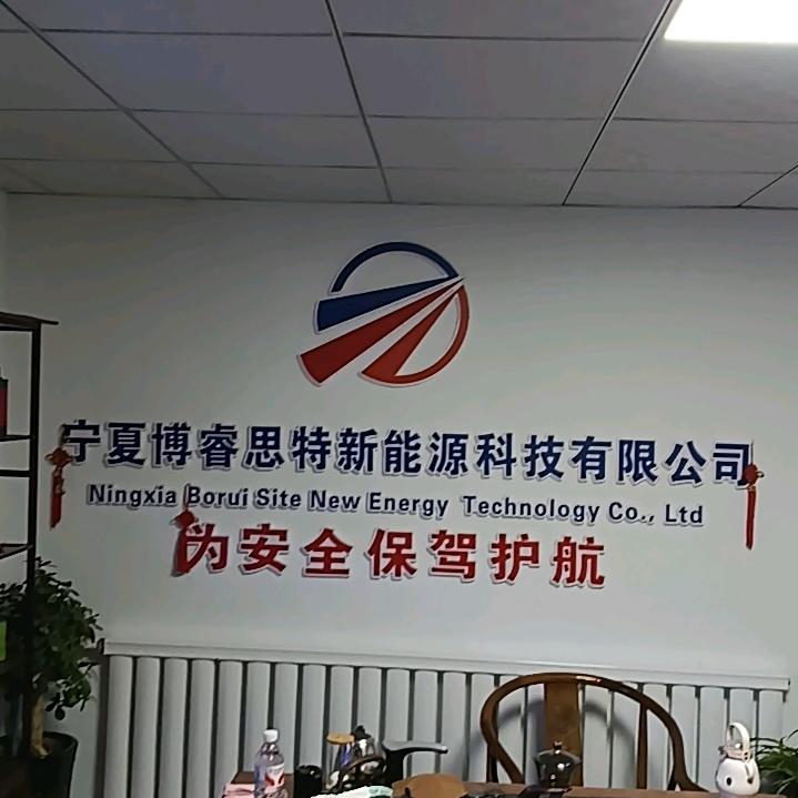 宁夏鑫银达博睿思特新能源汽车服务有限公司