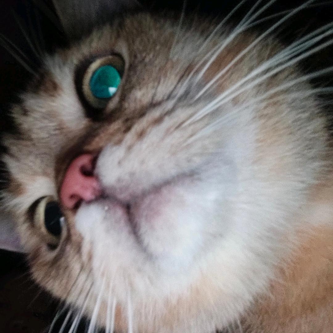 。。。。。。。