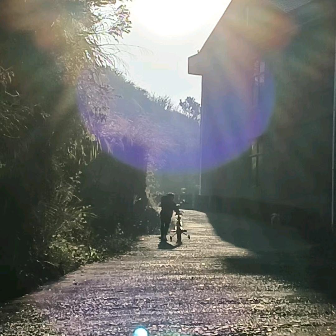 落葉ོ🍂無痕
