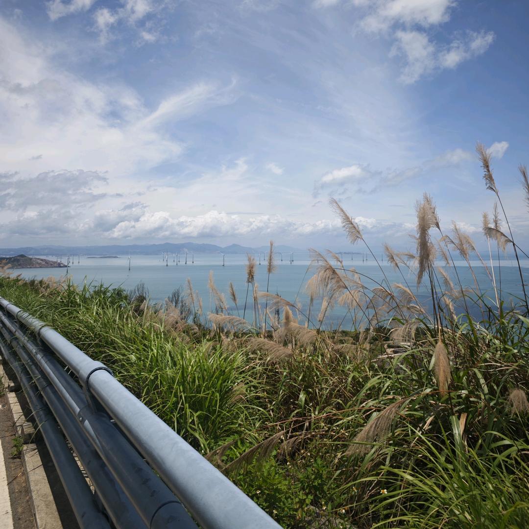 浪浪山打工小妖怪