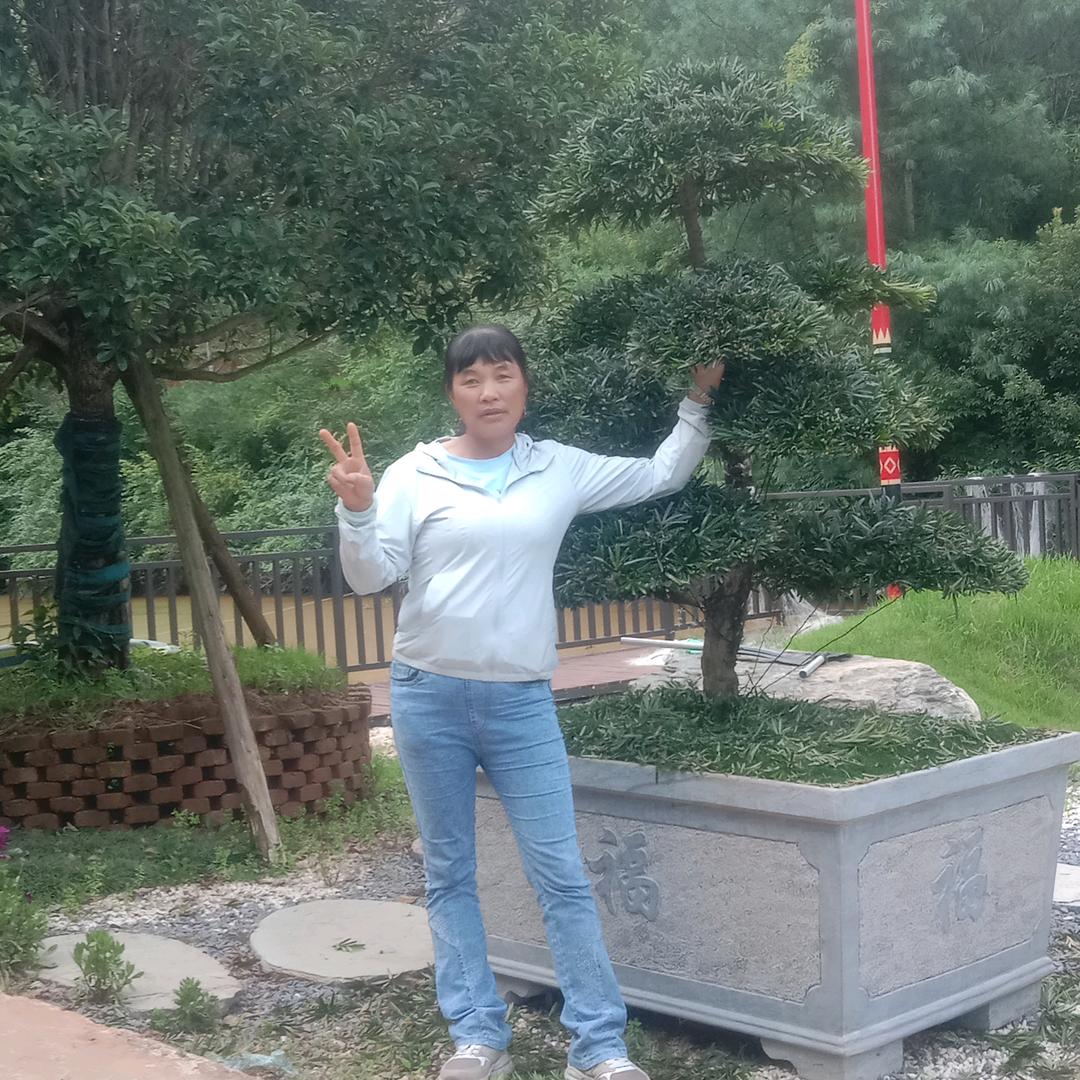 顺其自然。