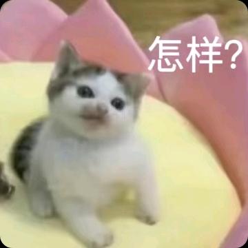 修仙魔君宝箱带打