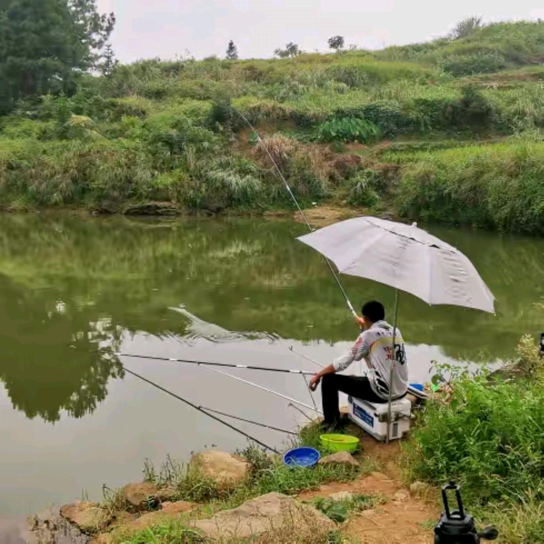 老张钓友圈---新乡