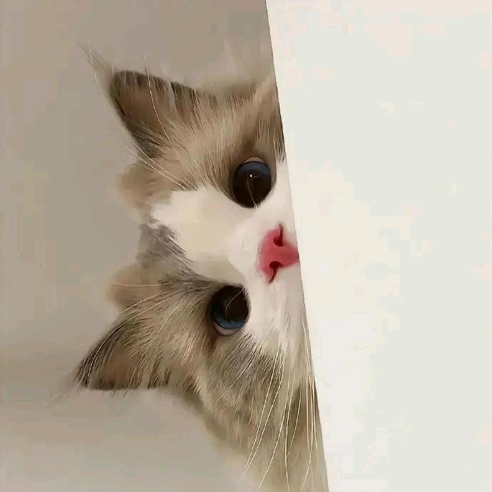 K K