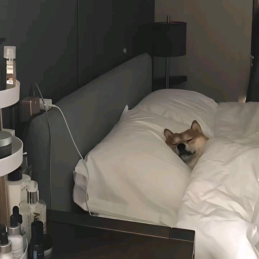 意中丿