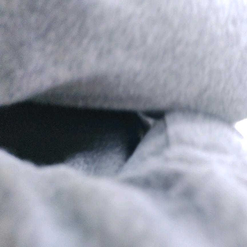 荼蘼