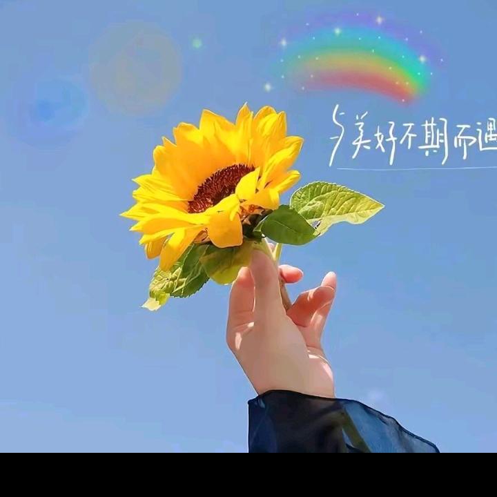 小雨滴