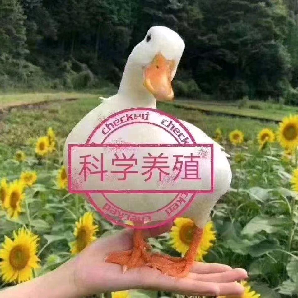 禽康养殖技术服务部