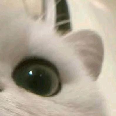 茶叶蛋.