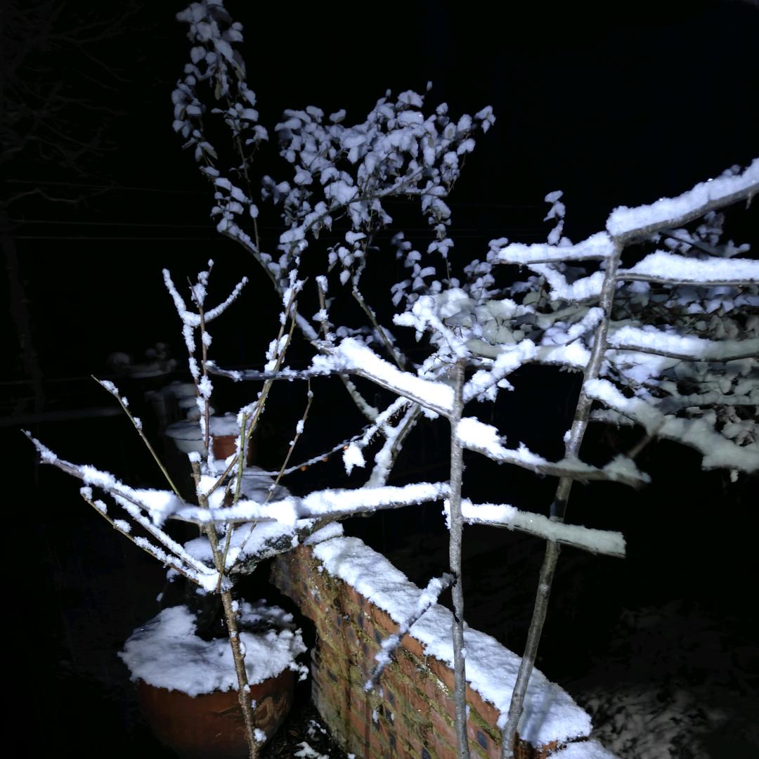 ͜͡͡͡͡͡͡͡ړེﻬ༈᭄ۖ斌༽ཽۖএۖ