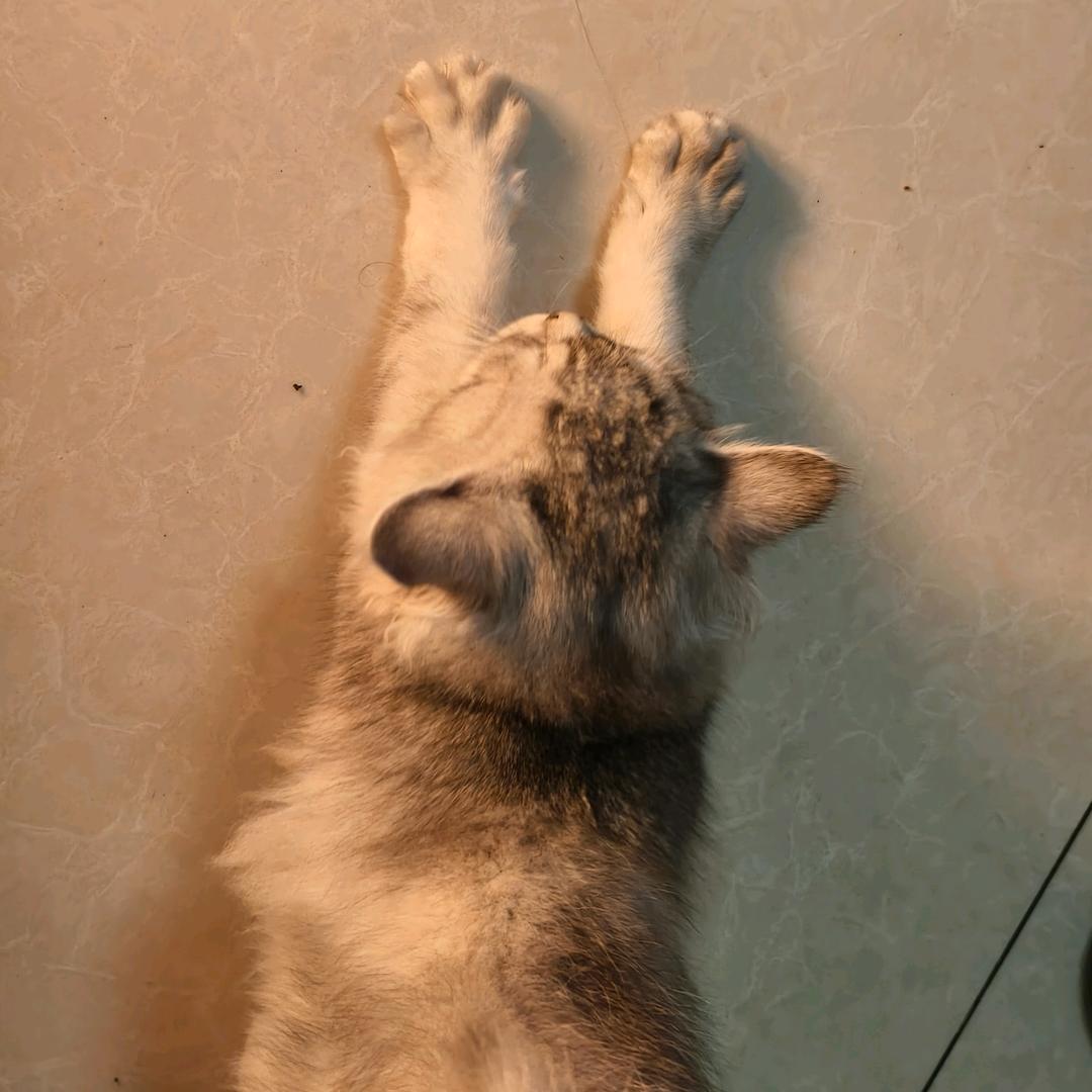 阖家幸福