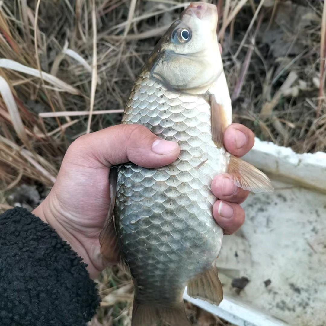 小孙爱钓鱼