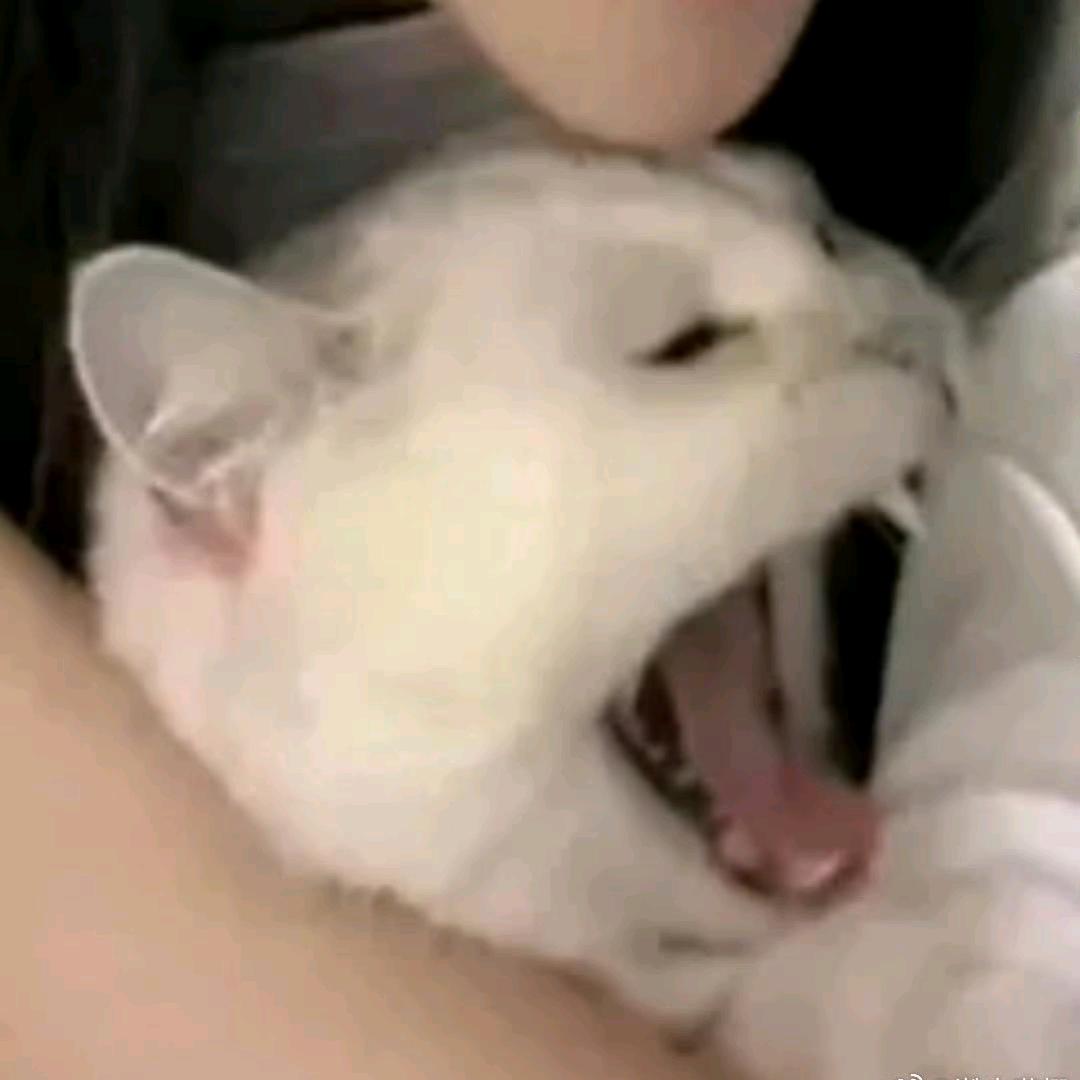 xuanaena