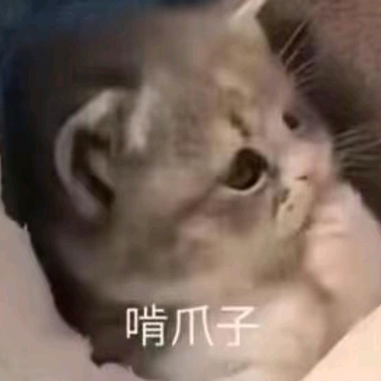 恒殊