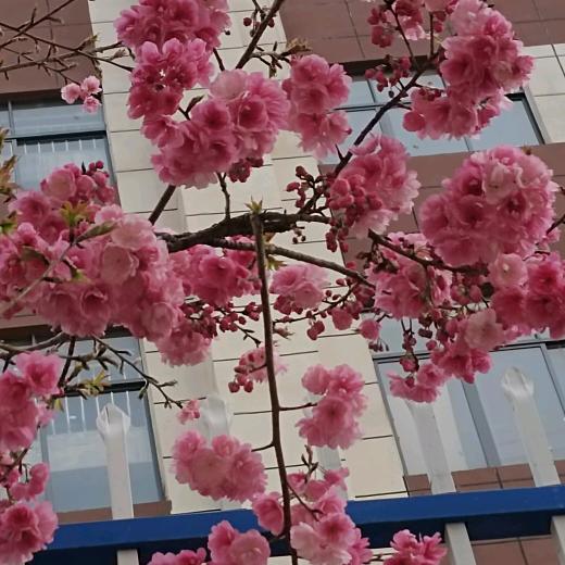 粗心大意