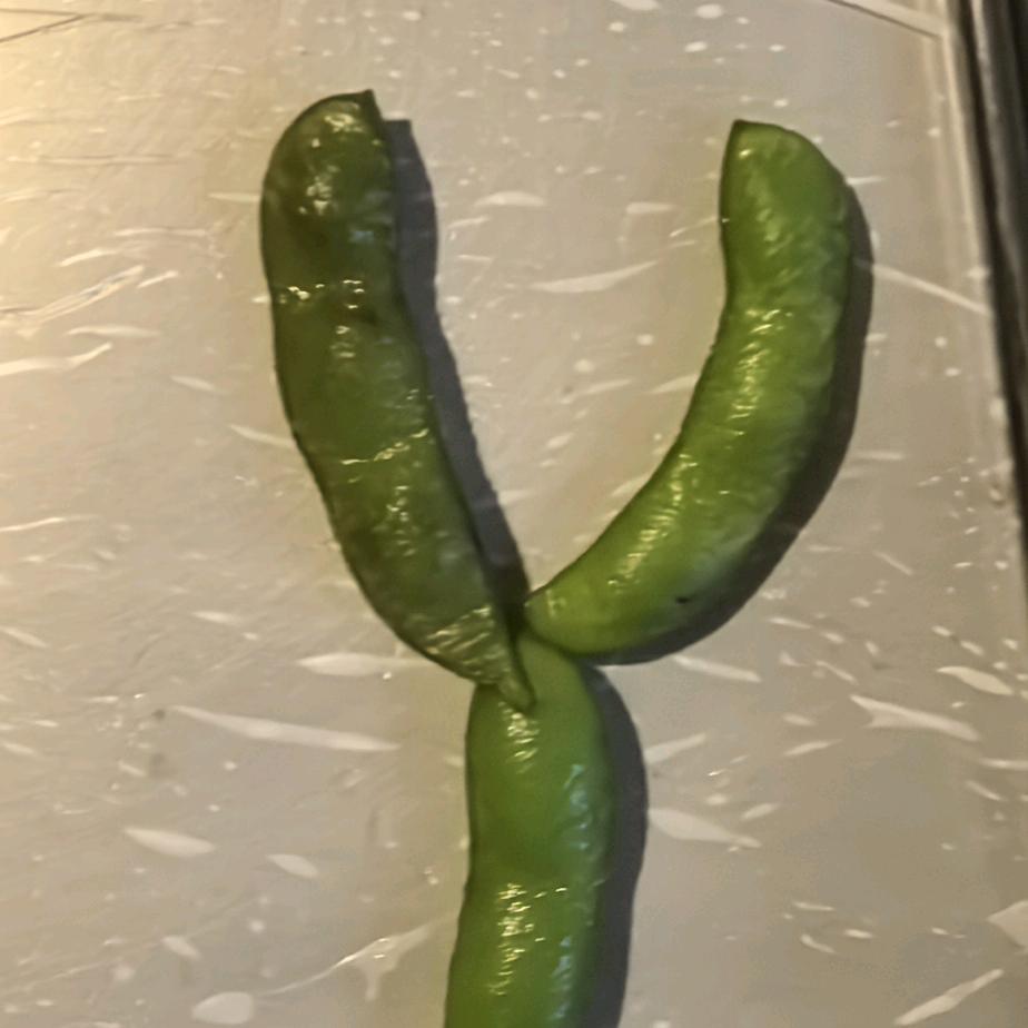 炊哥