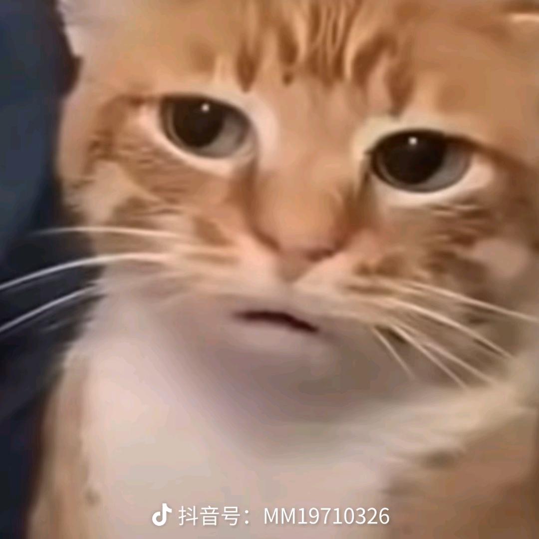 陈勃