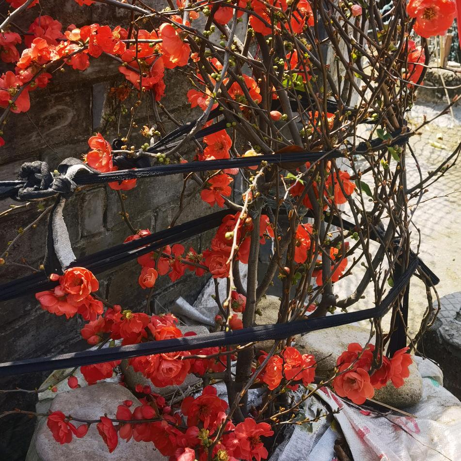 灵魂的触动
