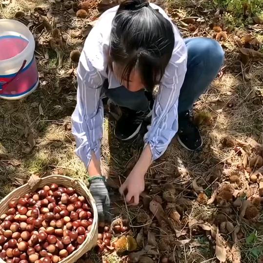 大自然的成果