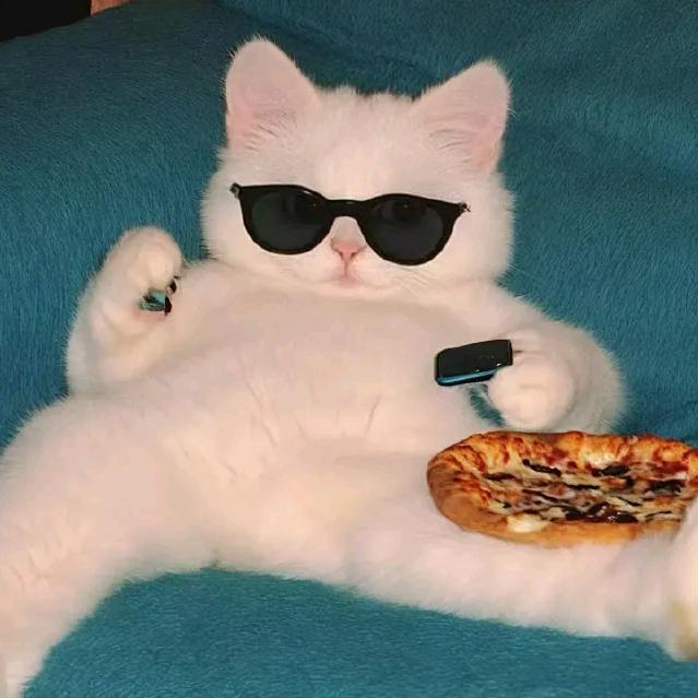 老舍文笔中的猫