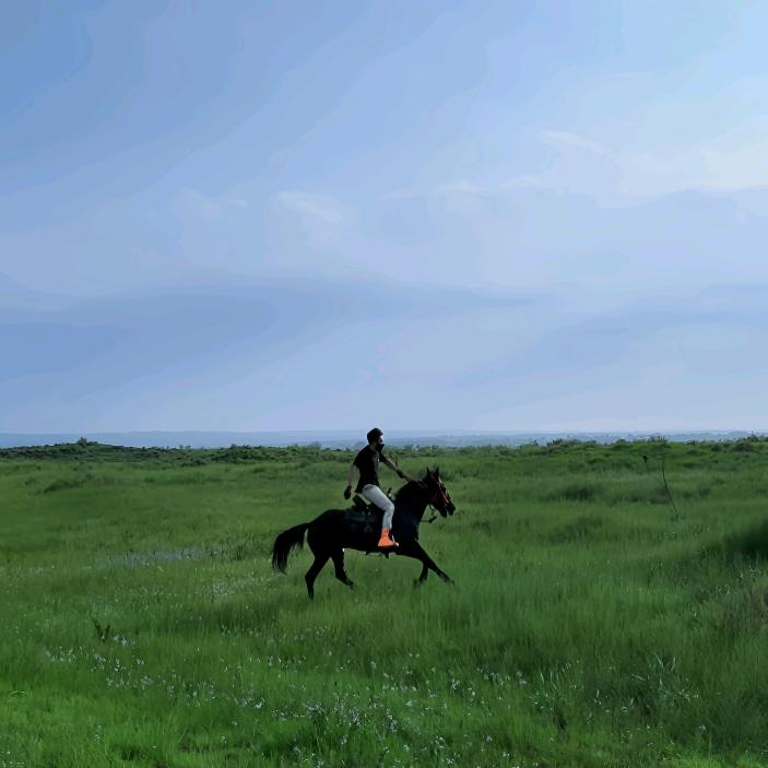 陕北强浩种养殖