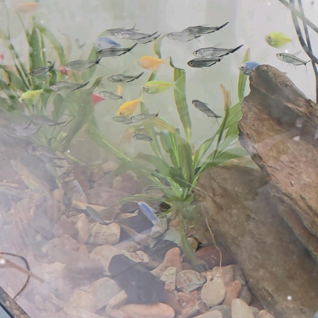 森森优禾星辉水族专卖店