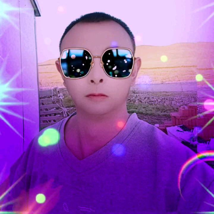 平淡的陪伴在夏天