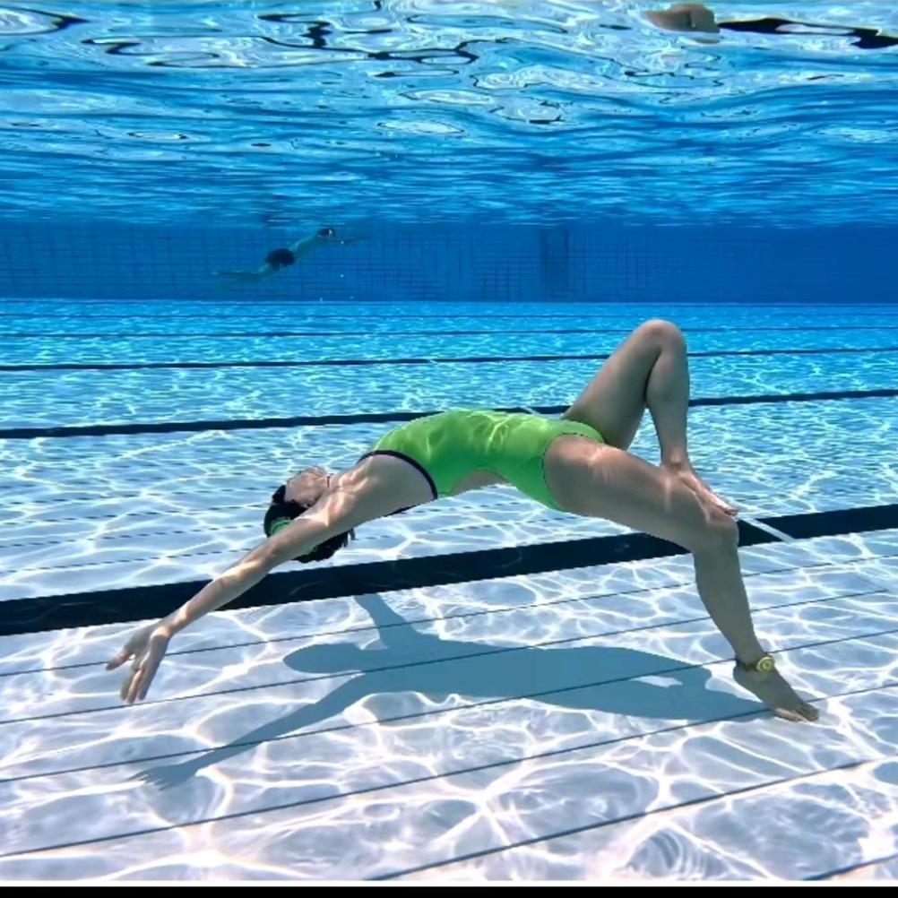 🐬豚豚子🦁💚