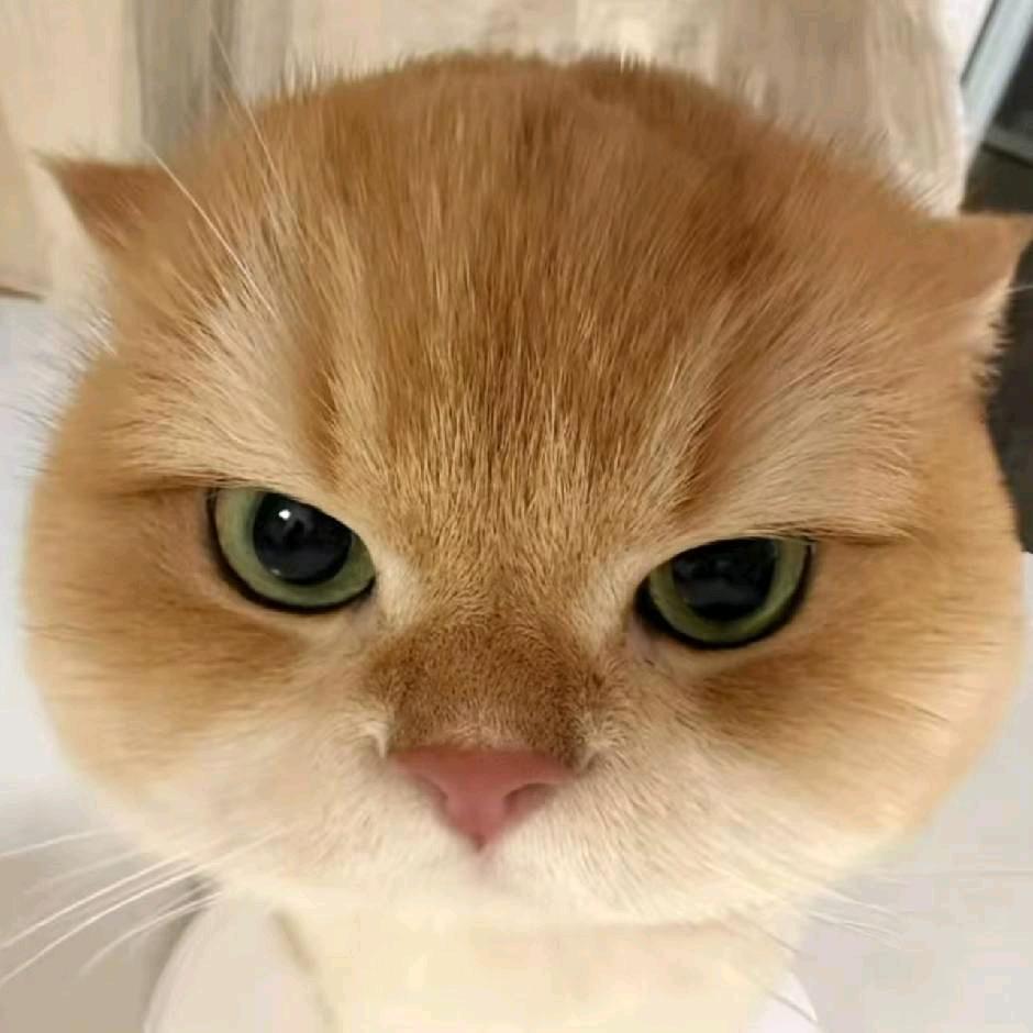 COC以父之名（大火球）