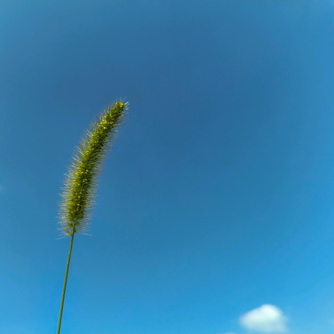 周末回家，请假半天